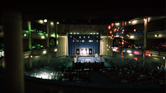 Undisputed WBC Edition – Xbox Series X